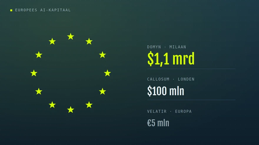 Eigen illustratie: Europese sterrenkrans naast de financieringsbedragen van Domyn, Callosum en Velatir / Own illustration: European circle of stars next to the funding amounts of Domyn, Callosum and Velatir