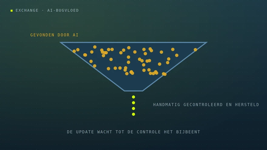 Eigen illustratie: trechter waar veel gevonden kwetsbaarheden in gaan en waar een dun stroompje hersteld uit komt / Own illustration: funnel taking in many discovered vulnerabilities with only a trickle coming out fixed